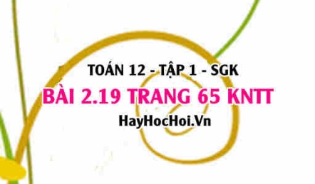 Bài 2.19 trang 65 Toán 12 tập 1 Kết nối tri thức